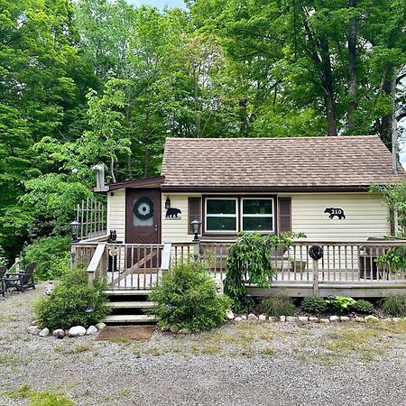 Escape To A Streamside Cabin In The Lower Catskills Wurtsboro Zewnętrze zdjęcie