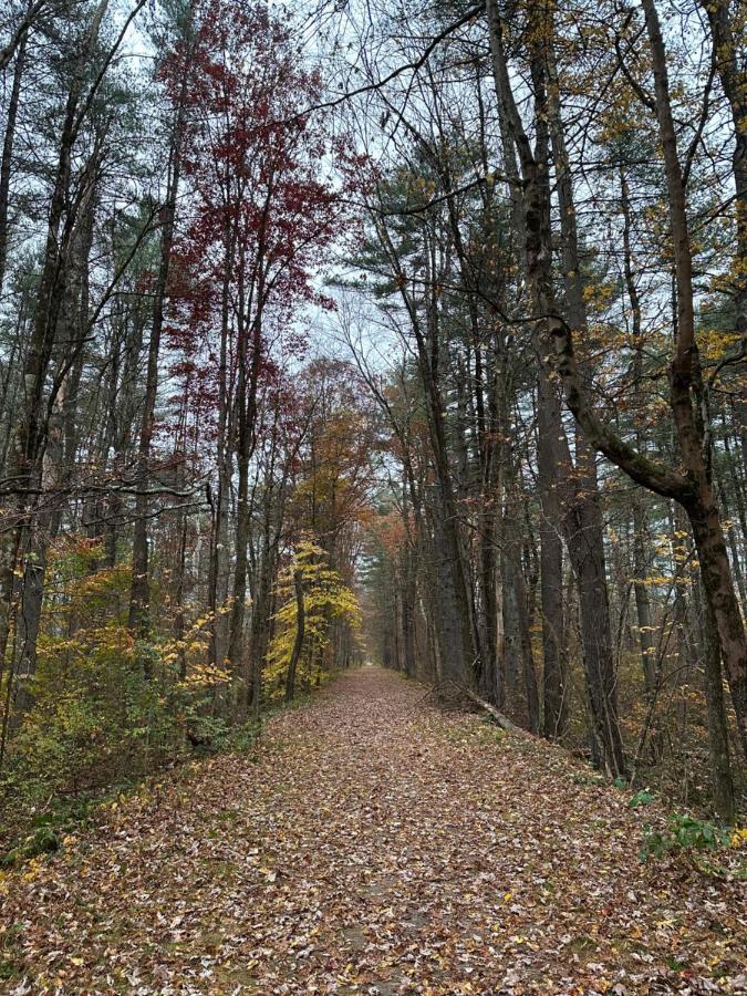 Escape To A Streamside Cabin In The Lower Catskills Wurtsboro Zewnętrze zdjęcie